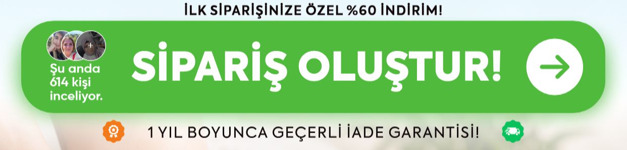 Promotional Imasge 1